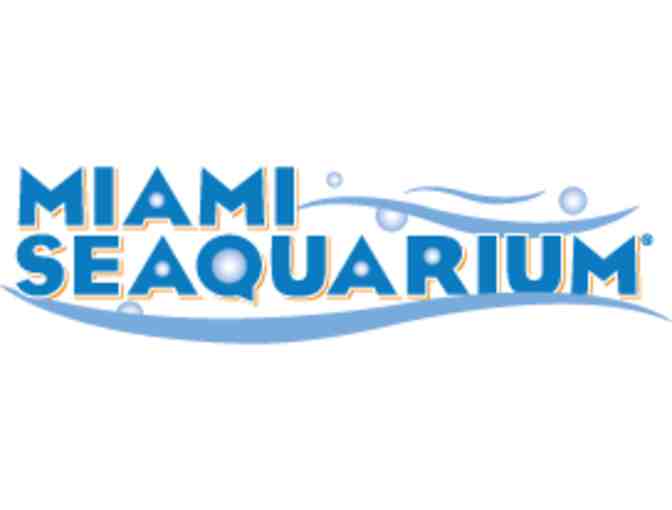 Swim with Dolphins for TWO - Miami Seaquarium