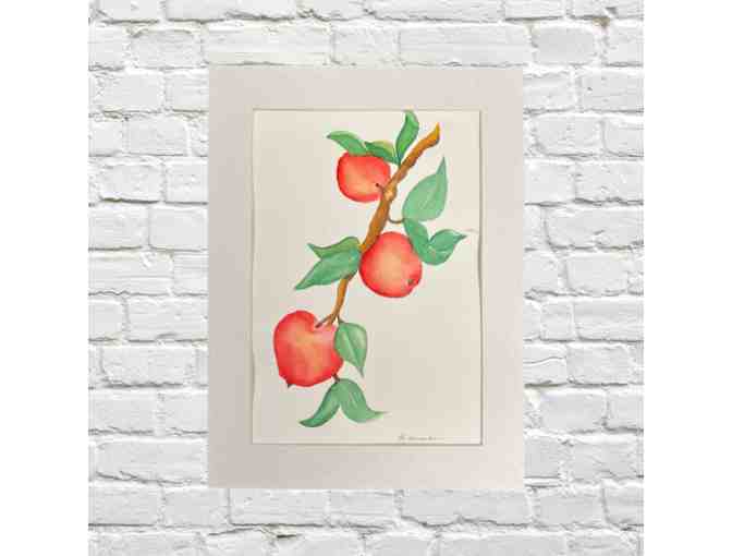 Apples, Watercolor by Linda Hanrahan - Photo 1