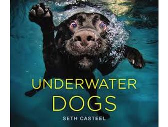 Autographed copy of Underwater Dogs by Seth Casteel