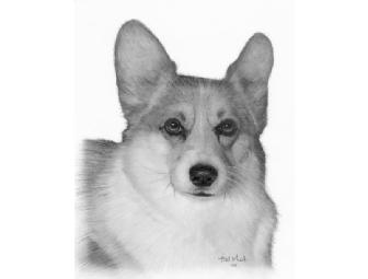 Custom Pencil 16' x 20' Pet Portrait by Artist Bill Muck