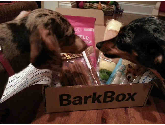 BarkBox 1-Year Subscription