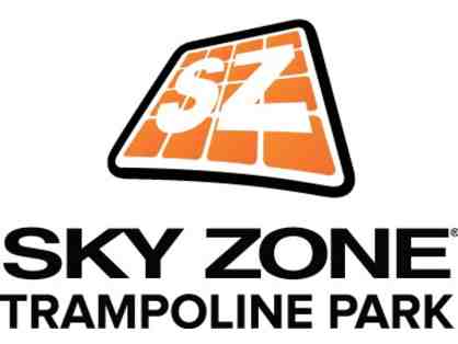 SkyZone Trampoline Park - Birthday Party for 10 Children