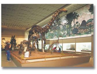 The Wonders of the Earth - Be a Member of the Yale Peabody Museum!