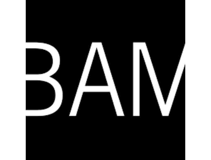 Level 2 Membership to BAM - Photo 1