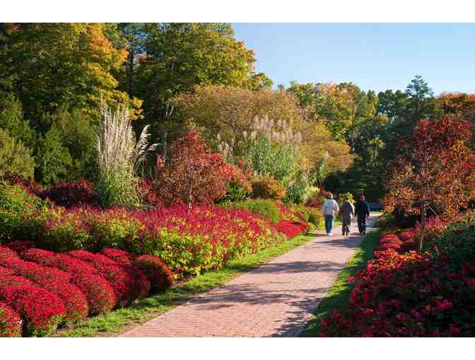 Longwood Gardens: Beyond the Beauty - Creating a World Apart