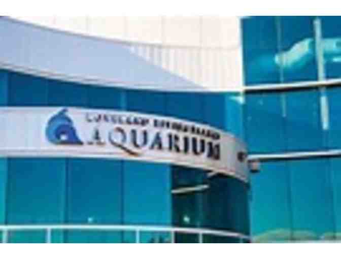 4 General Admission VIP to Aquarium