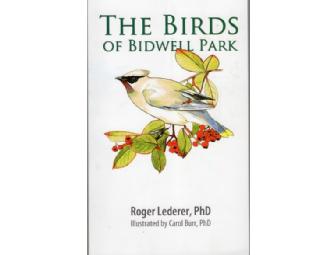 Framed Bird Painting by Bruce Bombereger & 'The Birds of Bidwell Park' Book