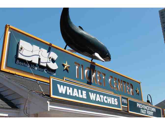 Boston Harbor Cruises Whale Watch