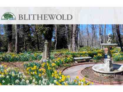 Blithewood Mansion, Gardens and Arboretum and More