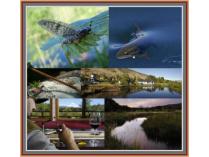 Patagonia-Argentina WEEKLONG Fishing Dream Vacation for Two