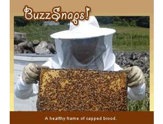 Become a Bee Keeper Overnight