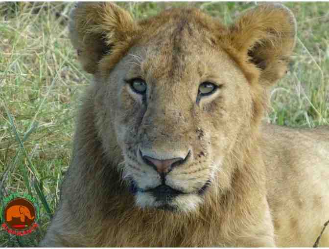 9 Day Kenya Retreat & Safari