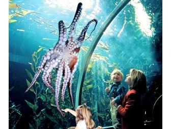 Two General Admission Tickets to Aquarium of the Bay