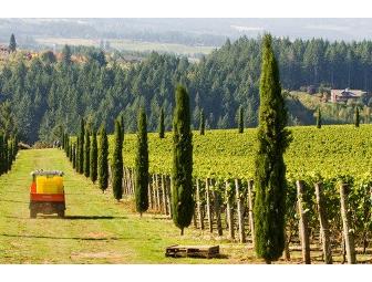 Alloro Vineyard - Private Wine Tasting and Tour for 8