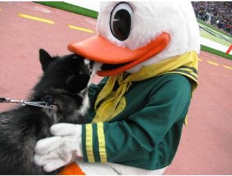 2 Huskies vs. Ducks Tickets and Tailgating Cooler
