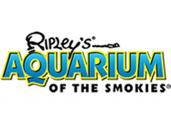 Ripley's Aquarium of the Smokeys - Admission for Two