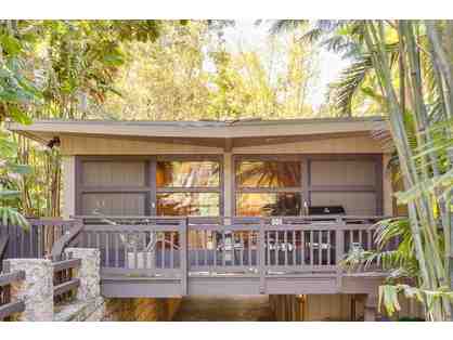 Coconut Grove, FL midcentury house 3 night stay