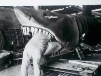 Vintage Original Poster "JAWS" Anthony Friedkin Signed
