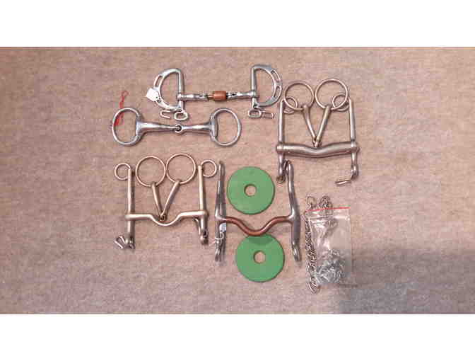Bridles and Bits for your Favorite Horse
