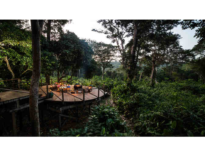 5167 - Seven Nights for 2, 3 Discovery Camps, Odzala Discovery Camps, Republic of Congo