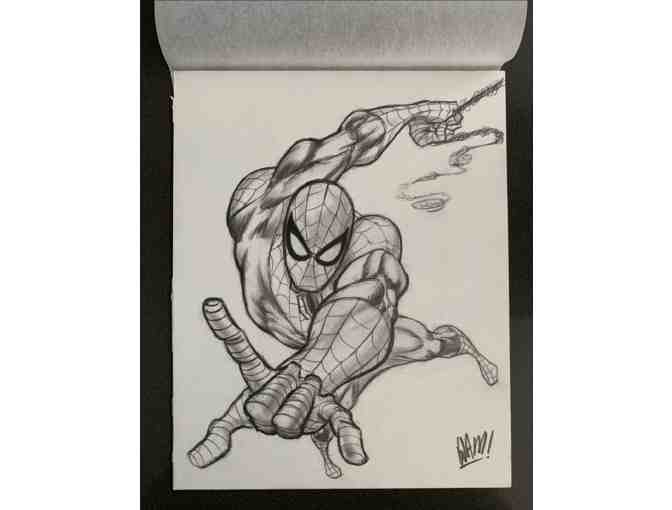 Original Spider-Man Sketch By Marvel Illustrator