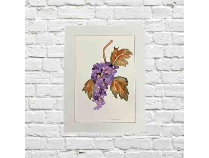 Grapes, Watercolor by Linda Hanrahan - Photo 1