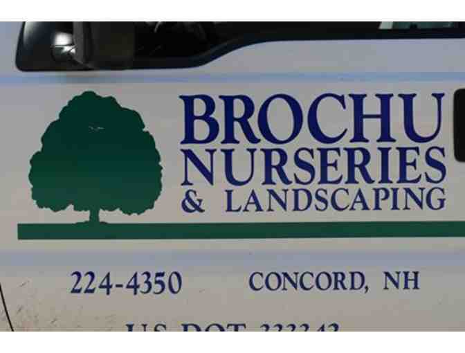 Brochu Nurseries