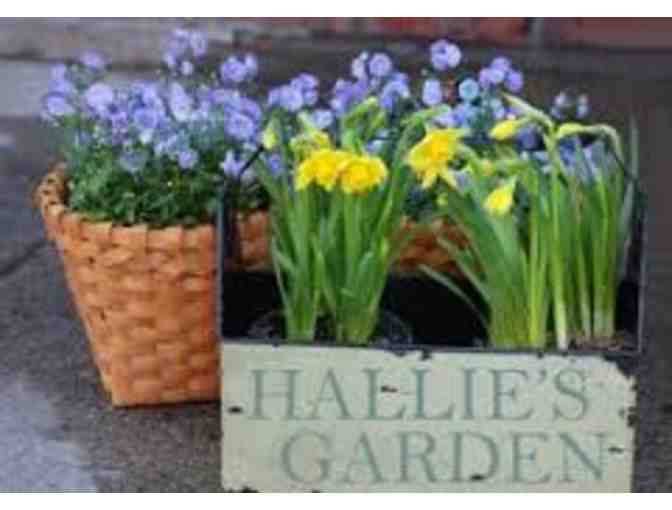 Hallie's Garden
