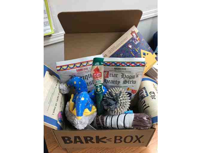 BarkBox Dog Gift Box - Knights Theme