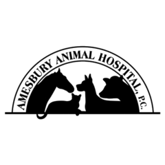 Amesbury Animal Hospital