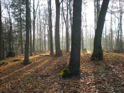 Weekend at the Red Spirit