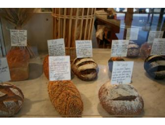The Kneaded Bread $25 Gift Certificate