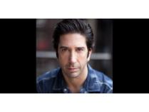 Attend Rehearsal with DAVID SCHWIMMER in Chicago and dinner for 2 at Sunda