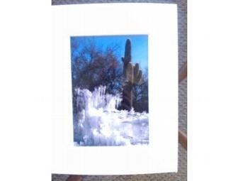 Art--Pictures of Southern Arizona by John Hays