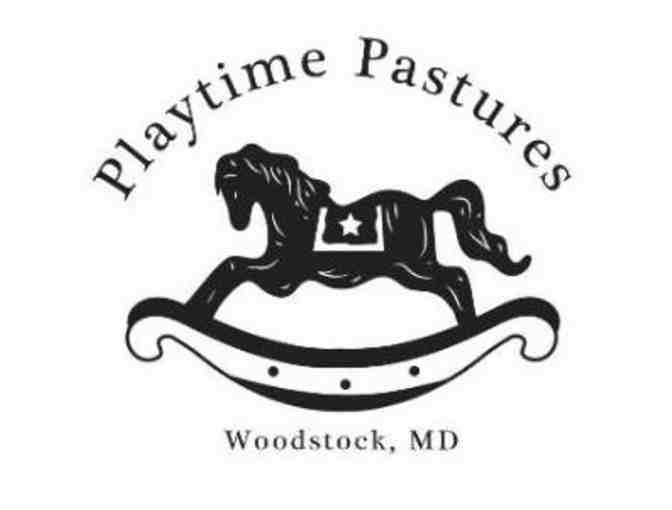 Playtime Pastures - 40lb Assortment of 'Farm to Fork' Meats