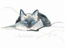 "BLUE EYED PURRFECTION" BY P. BUCKLEY MOSS