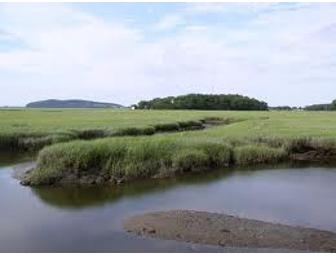 Explore the Salt Marshes of the North Shore with Nat Pulsifer