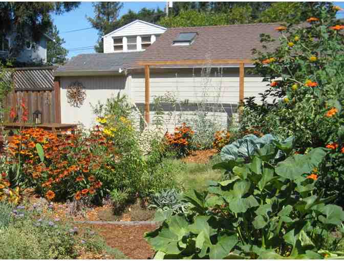 Landscape Design and Site Planning Consultation by Community Soil, Santa Rosa CA - Photo 2