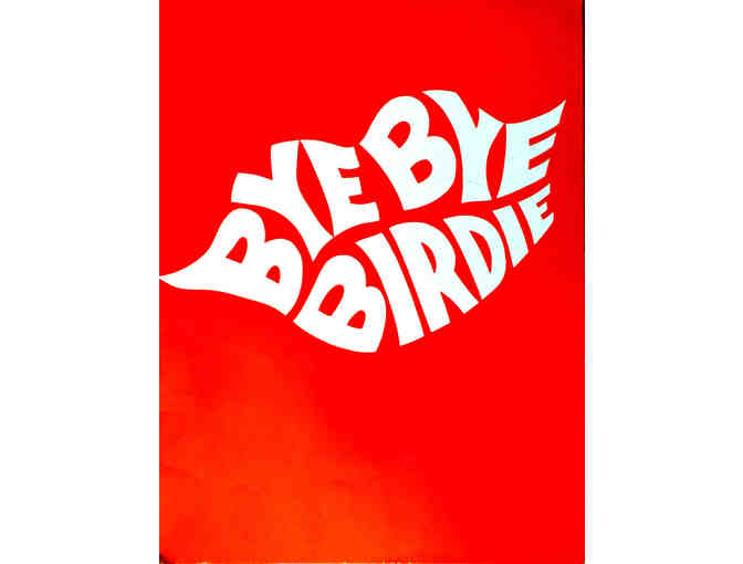 Collection of 1960s Musical Theater Souvenir Programs 1960 - 1964 - Part 1