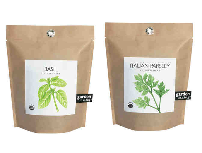 Set of 2 Garden-in-a-Bag (Organic: Basil and Italian Parsley)