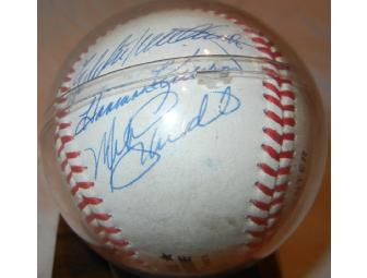 BASEBALL SIGNED BY 10 OF THE 500 HOME RUN CLUB