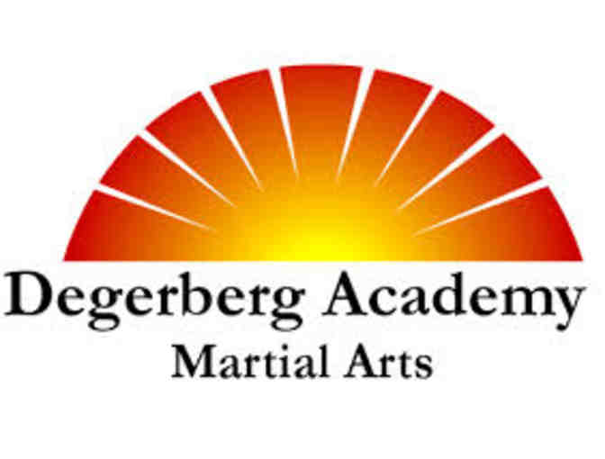 3 Months of Martial Art Classes at Degerberg Academy