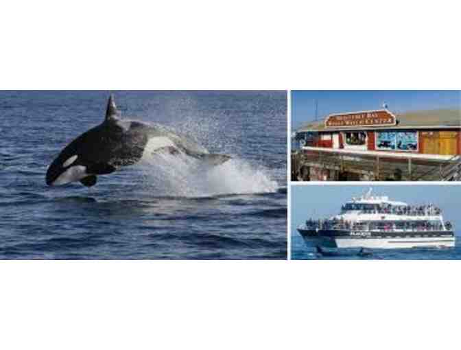 Monterey Bay Whale Watch - 2 Passes - Photo 2