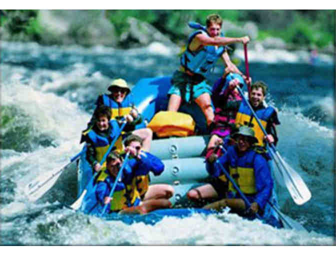 New England Outdoor Center Whitewater Rafting or Wildlife Tour
