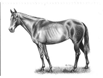 Custom horse or pet portrait