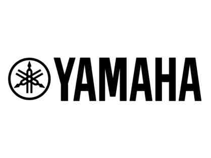 Acoustic-Electric Guitar PLUS an Axe Pack by Yamaha