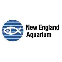 New England Aquarium, Boston