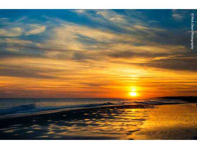 Say A Gay 'I Do' in Charleston