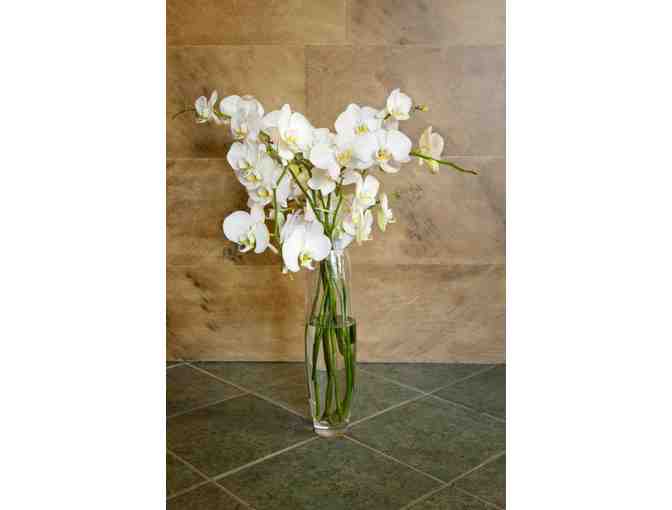 Say A Gay 'I Do' in Charleston