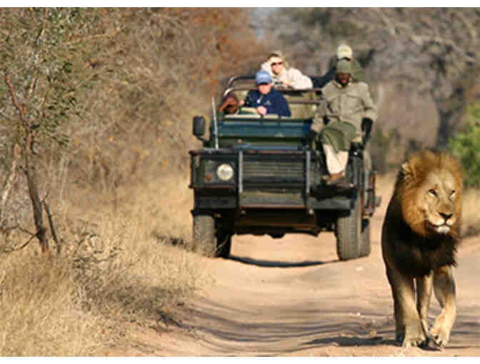 Luxury African Photo Safari for Two - A Once in a Lifetime Trip!